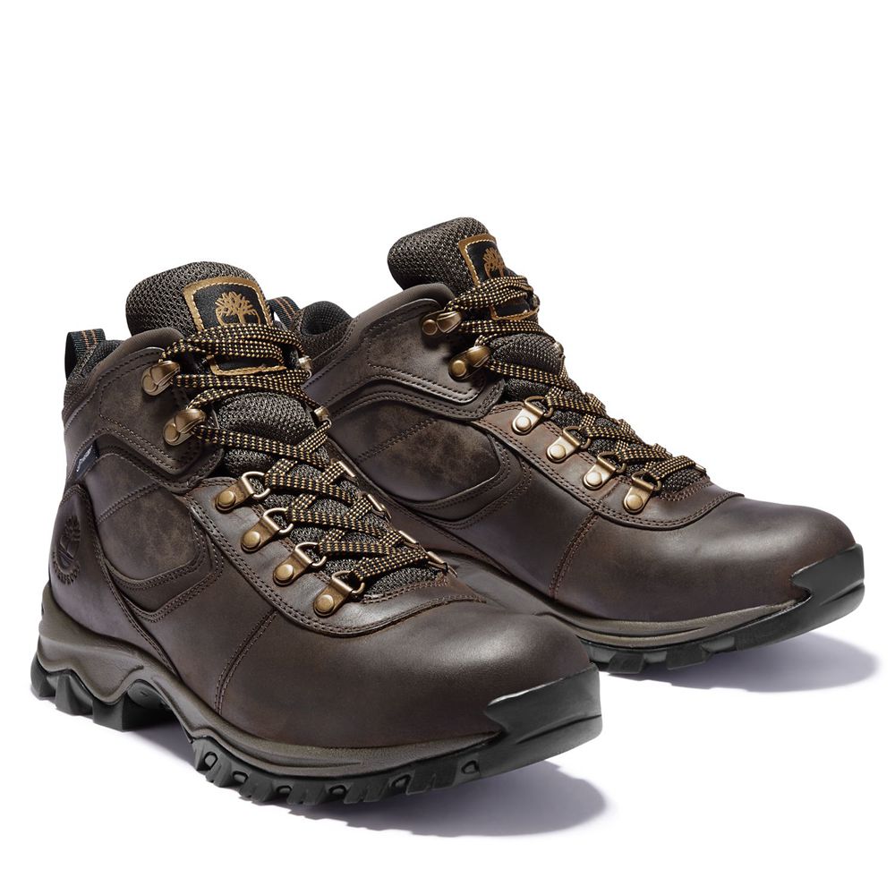 Timberland Mens Hiking Boots Mt. Maddsen Mid Waterproof - Dark Brown - India TZ1649758